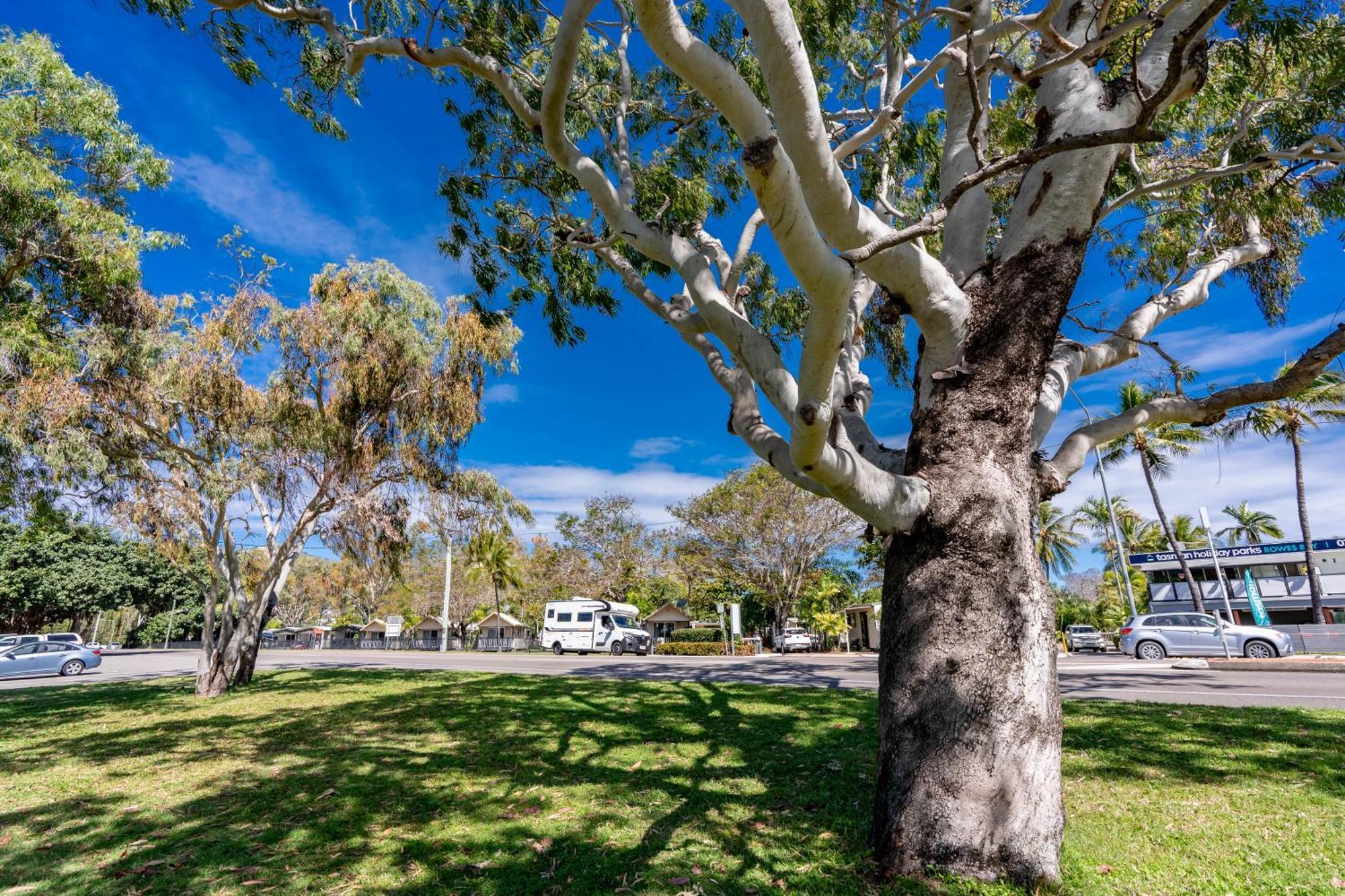 Big4 Tasman Holiday Parks - Rowes Bay タウンズビル エクステリア 写真